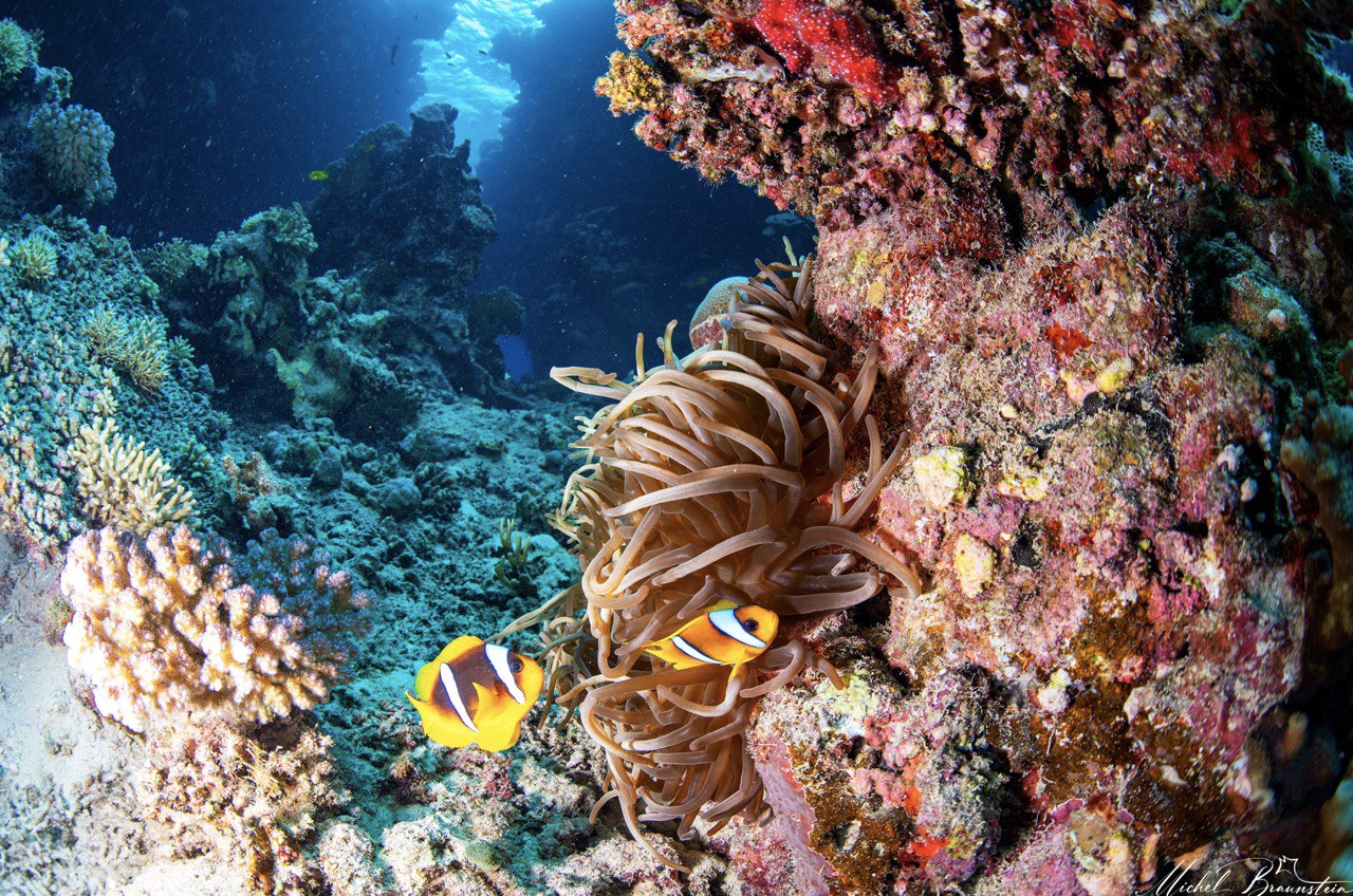 Подводный риф на маршруте St Johns и Fury Shoal